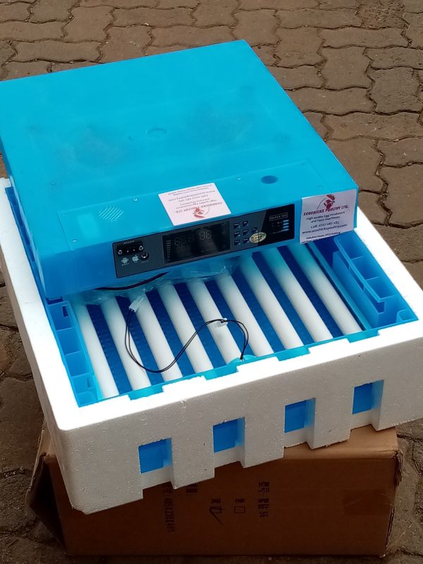 Latest Chicken Egg Rolling Type Automatic Egg Incubator