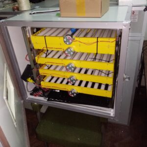 New model 300 Eggs Incubator