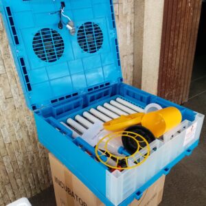 64 Eggs Roller turning AC/DC power automatic incubator