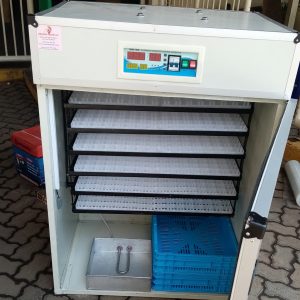 Shop Amazing 528 Eggs Automatic Incubator