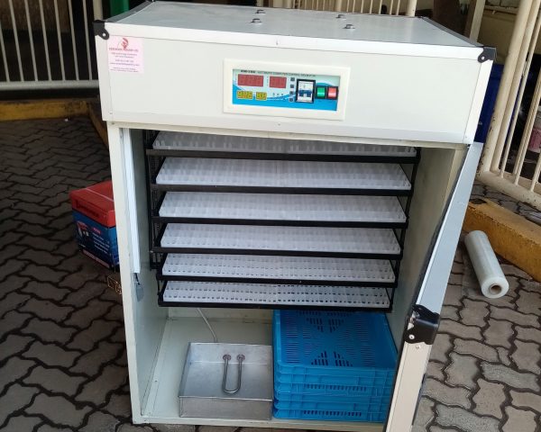 Shop Amazing 528 Eggs Automatic Incubator
