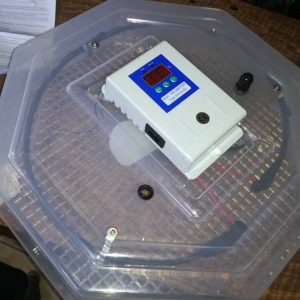60 Eggs semi-Auto Incubator