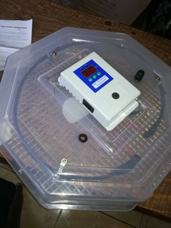 60 Eggs semi-Auto Incubator