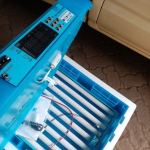 Blue Roller 64 Eggs Automatic Poultry Incubator
