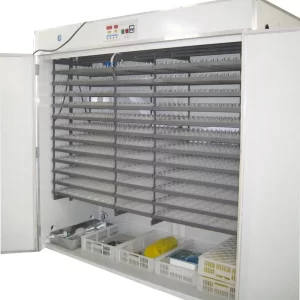 5000 Egg incubator Price in kenya