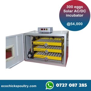 New model 300 Eggs capacity fully automatic hatchery