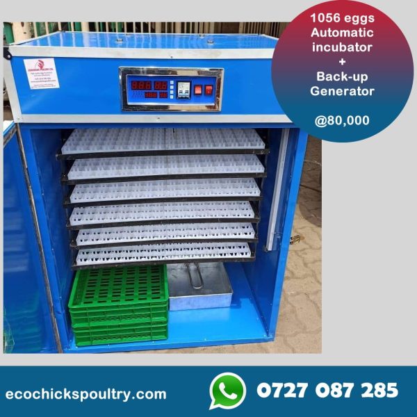 1056 Eggs with Digital intelligent controller fully automatic display temperature/ humidity