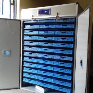 Digital commercial 2112 Eggs full hatcher full setter automatic hatchery
