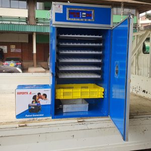 528 Eggs medium poultry incubator  fully automatic hatchery