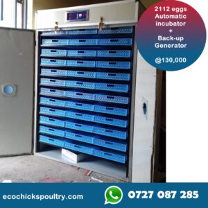 2112 Eggs Commercial fully automatic hatchery