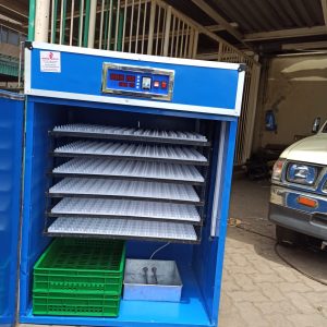 1056 Eggs incubator with Automated control full hatcher full setter