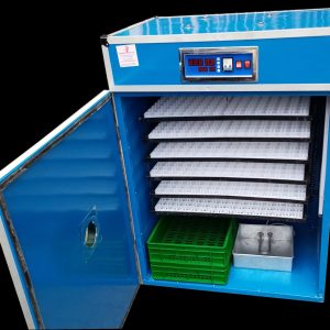 1056 Eggs incubator with digital intelligent controller fully Automatic incubator
