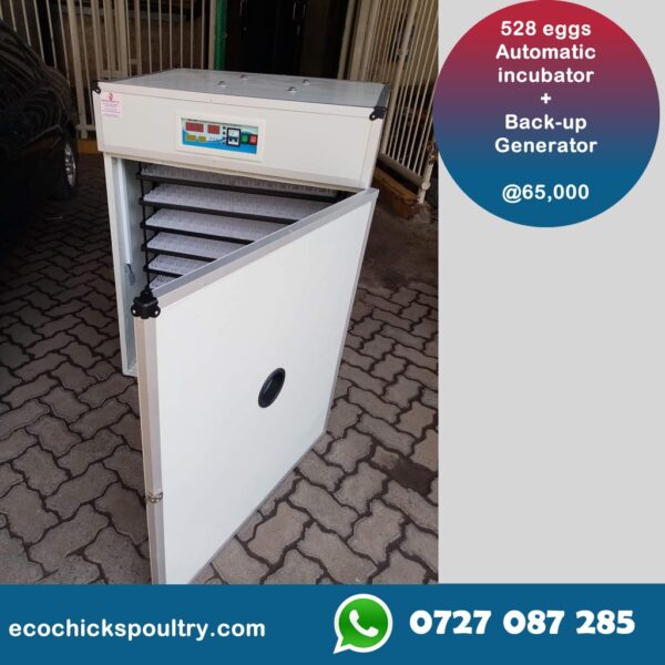 Medium-sized automatic chicken duck goose quail egg incubator 528 Eggs Capacity