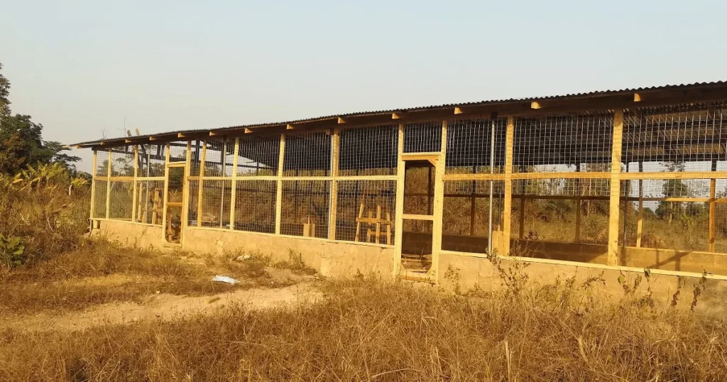 Chicken House Design
