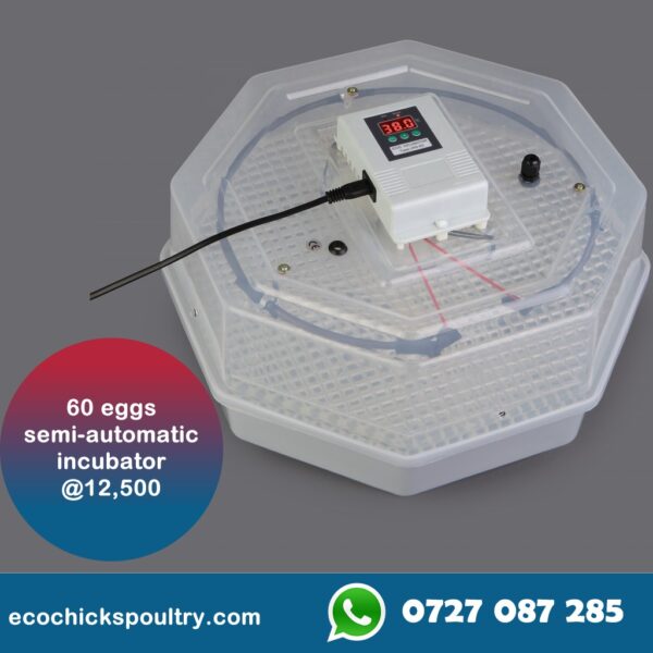 60 capacity brand incubators with one year warranty