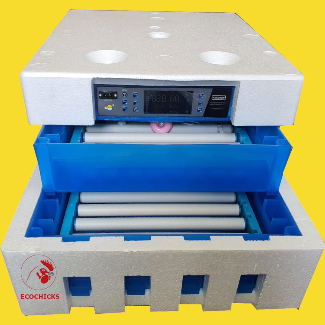 solar egg incubator price in kenya
