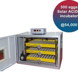 Solar dual power 300 eggs automatic incubator