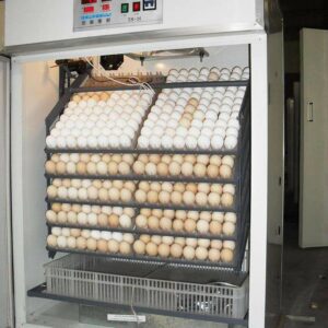 500 eggs automatic incubator