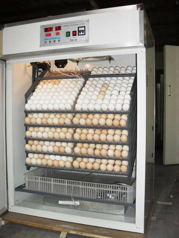 Farm machinery fertile chicken hatching eggs 1056 commercial incubator