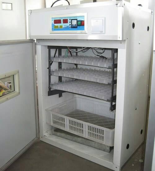 264 eggs automatic incubator