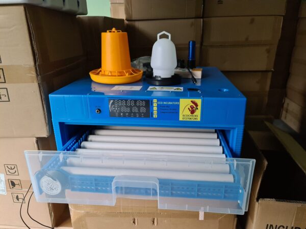 Hatching incubator for 64 eggs