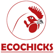 Ecochicks Poultry Limited