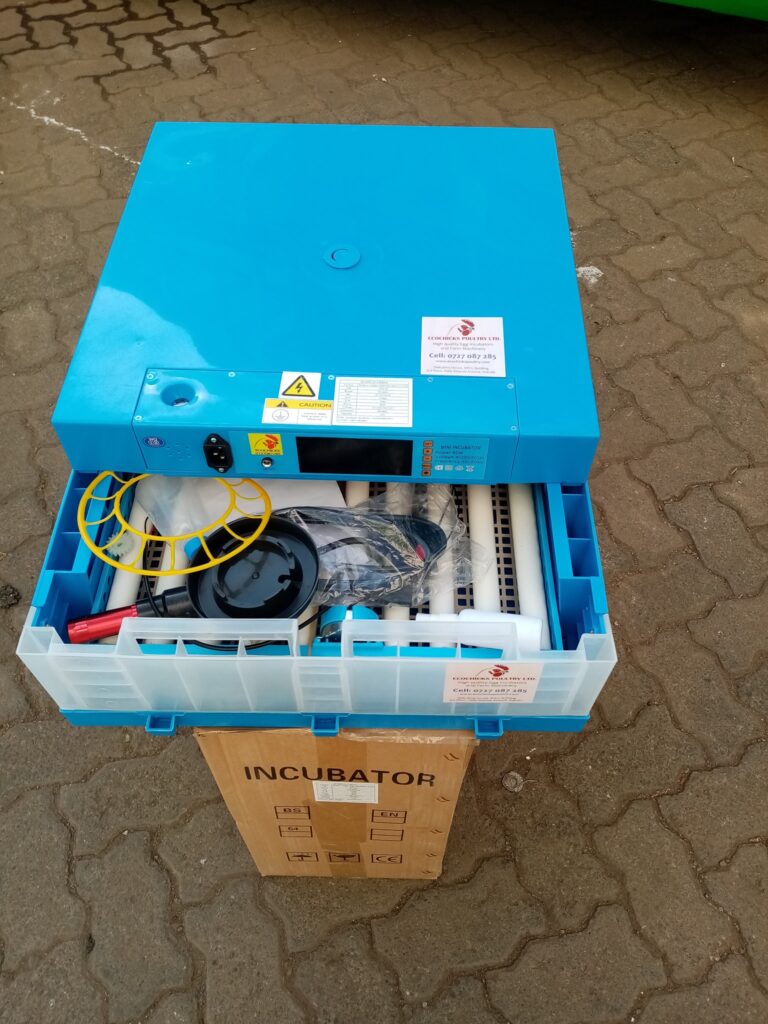 egg incubator using solar power