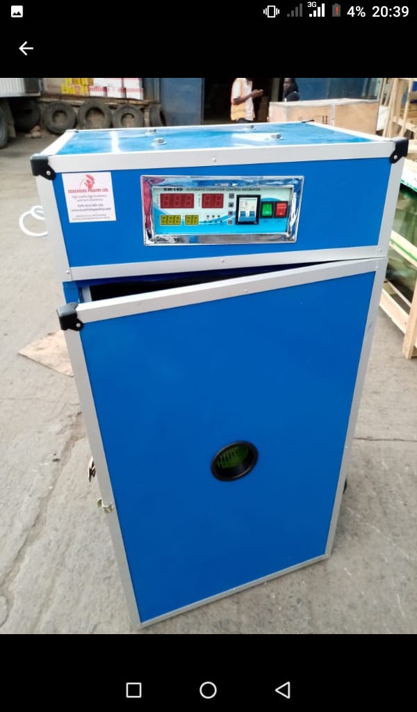 ,Professional Cabinet Incubator,528 Eggs Incubator Fully Automatic Poultry Hatcher Machine with Temperature Control, for Chicken Duck Dove Quail