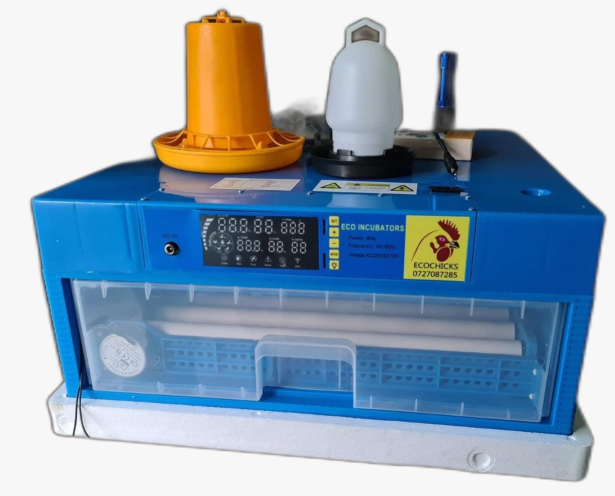 64 eggs automatic incubator
