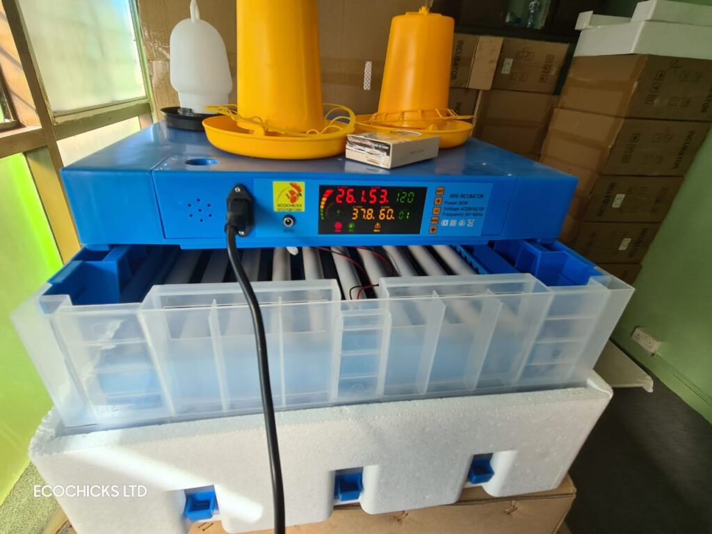 Solar incubators for hatching eggs