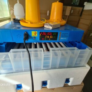 Solar incubators for hatching eggs