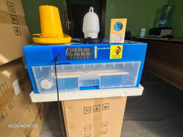 Egg Hatching Incubator, 64 Eggs Incubator with 360° Automatic Egg Turning and Humidity Control Household Mini Egg Incubator Breeder for Chicken, Ducks, Birds 110V/12V
