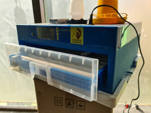 Intelligent control egg incubator
