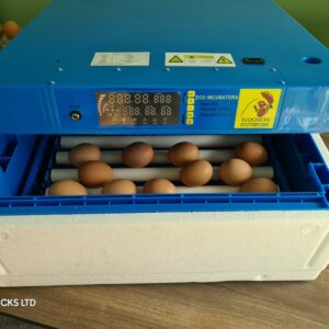 High hatching rate automatic chicken incubators