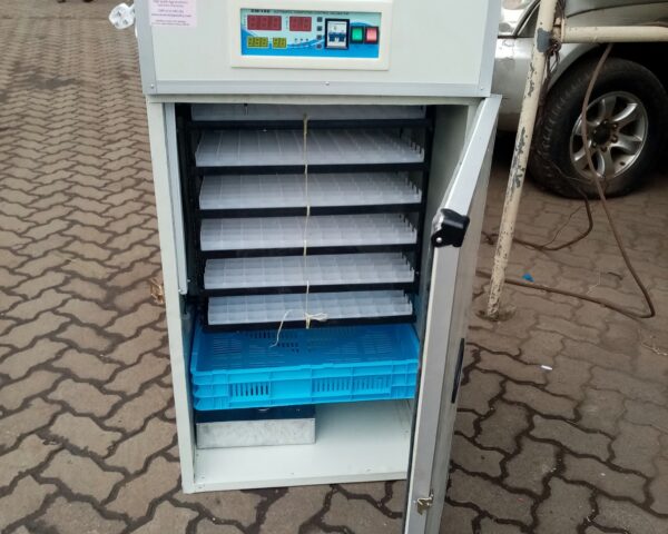 Key Machines for Efficient Poultry Farming in Kenya