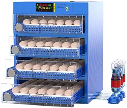 Kienyeji Incubator