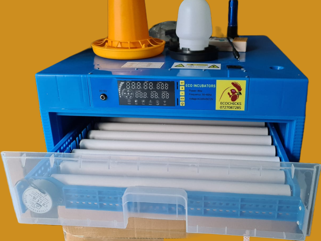 Solar Powered Egg Incubator in Kenya