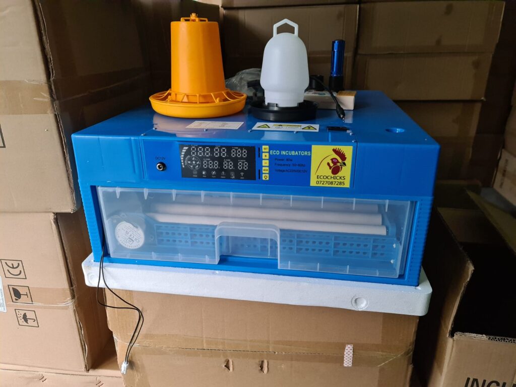 Automatic solar egg incubators in Kenya