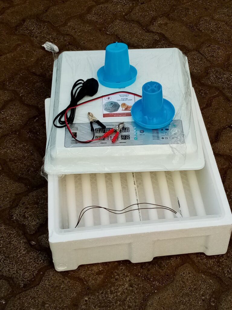 Best solar powered egg incubator in kenya and their prices