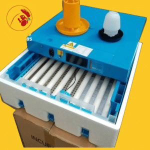 Small Solar Egg Incubator Prices in Kenya