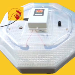 60 Digital Egg Incubator Automatic Multifunction Poultry Hatcher with Temperature Control for Chickens Goose Duck Brooder, Easy to Use