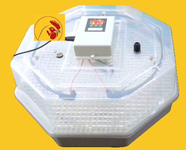 60 Digital Egg Incubator Automatic Multifunction Poultry Hatcher with Temperature Control for Chickens Goose Duck Brooder, Easy to Use