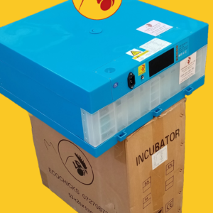 64 Eggs Solar incubator Price in Kenya
