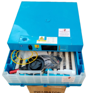 Solar Egg Incubator