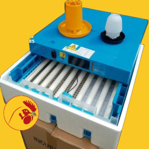 Egg Hatching Incubator, 64 Eggs Incubator with 360° Automatic Egg Turning and Humidity Control Household Mini Egg Incubator Breeder for Chicken, Ducks, Birds 110V/12V
