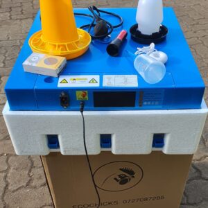 64 eggs solar incubator