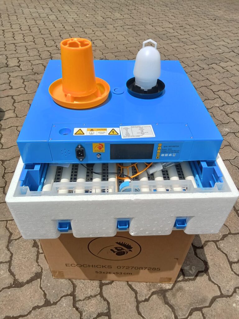 Best 64 egg incubators in kenya
